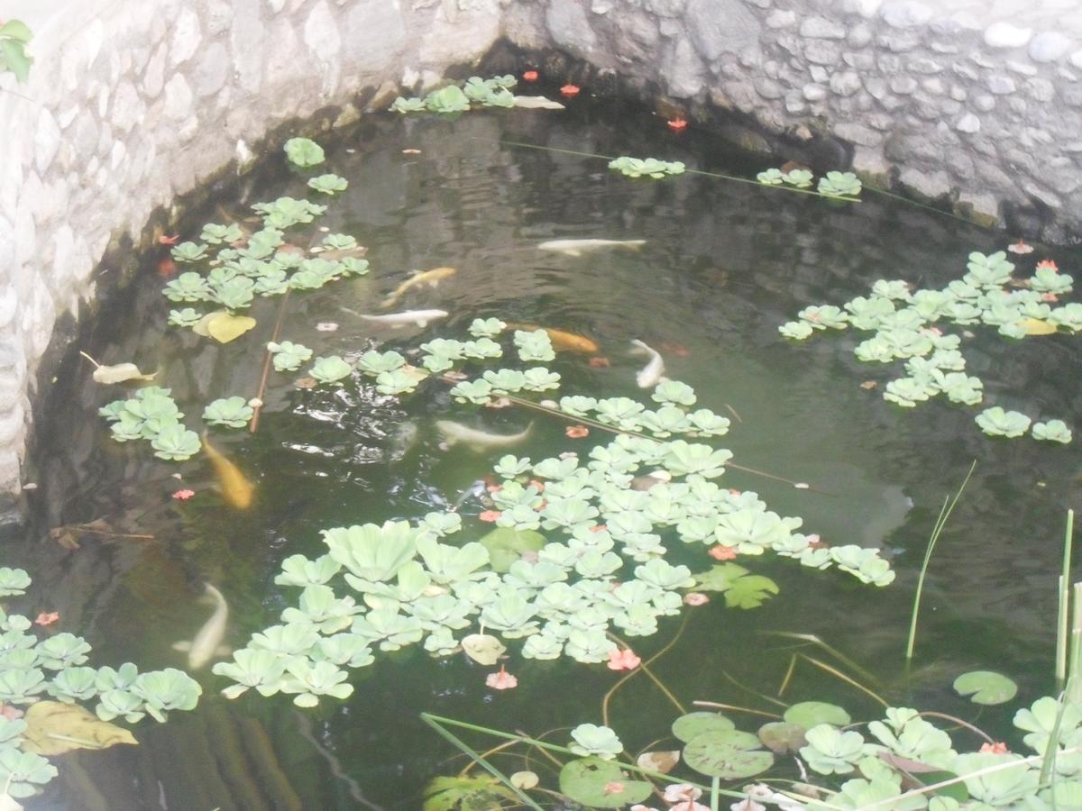 Garden Roomz Oman Muscat Exterior photo