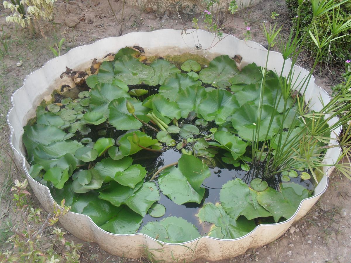 Garden Roomz Oman Muscat Exterior photo