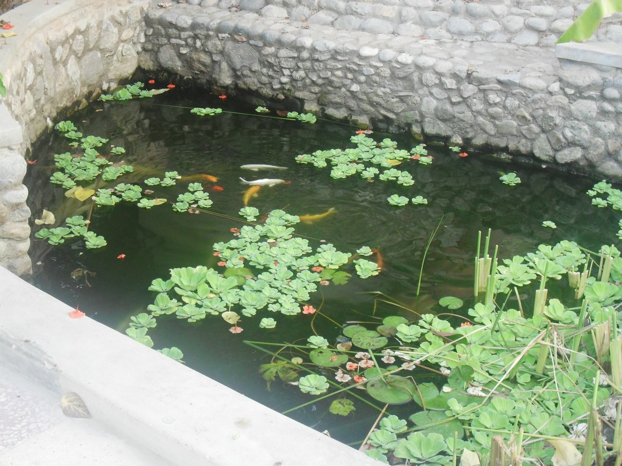 Garden Roomz Oman Muscat Exterior photo
